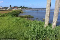 The grassy banks of the Maroni River at the port in Saint Laurent du Maroni in French Guiana.