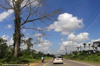 Carro e motocicleta ananicada por uma enorme árvore junto do caminho entre Tamanredjo e Paramaribo, o Suriname. As 3 Guianas, América do Sul.