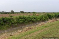 Zona rural aberta e verde entre Nickerie e South Drain no Suriname. As 3 Guianas, América do Sul.