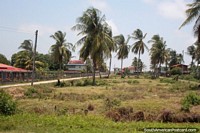 Un barrio de casas con palmeras en una comunidad entre Moleson Creek y Georgetown, Guyana. Las 3 Guayanas, Sudamerica.