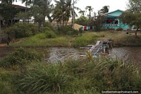 Casas con una vía de agua entre ellos y la carretera, entre Moleson Creek y Georgetown, Guyana.