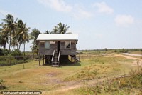 Wooden house with stairs leading up on a big bare grass property between New Amsterdam and Georgetown, Guyana. The 3 Guianas, South America.