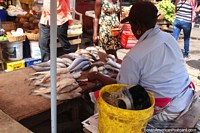 El pescado fresco para la venta en Stabroek Mercado en Georgetown, Guyana.