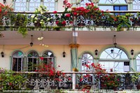 Lots of red flowers growing on a balcony with windows behind in Georgetown, Guyana. The 3 Guianas, South America.