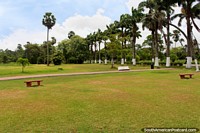 Los Jardines Botánicos de Georgetown con espacio abierto y árboles altos, Guyana.
