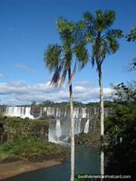 Vistas brillantes de caídas de Iguazu. Argentina, Sudamerica.