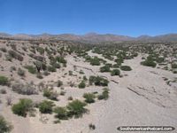 Terreno seco y solitario al norte de Humahuaca. Argentina, Sudamerica.