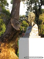 Versão maior do Benito Perez Galdos (1843-1920), romancista espanhol, monumento no Parque 3 de fevereiro, Buenos Aires.