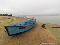 Blue boat and a brown dog on the banks of the Uruguay River in Colon. Argentina, South America.