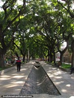 Paseo Alameda, a 7 block public walk created in 1808 in Mendoza. Argentina, South America.
