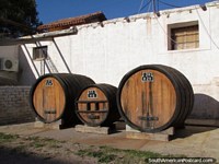 3 large wine barrels outside at Florio winery in Mendoza.