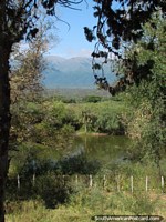Looking across the pampas and bush to distant mountains at Talapampa. Argentina, South America.