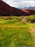 Green grass and red mountains at the Quebrada de las Conchas in Cafayate. Argentina, South America.