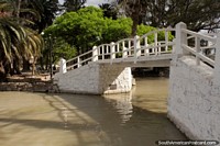 A ponte branca através da lagoa em Parque San Martin em Salta. Argentina, América do Sul.