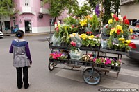 A woman with a trolley of bright flowers on a street corner in Salta. Argentina, South America.