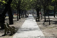 San Martin Park in Salta, pathway and trees on a sunny day. Argentina, South America.