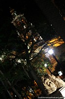 Larger version of Sculptured art under lights at Plaza 9 de Julio in Salta at night.