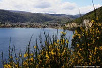 Lake Lacar and the town of San Martin de los Andes, north of Bariloche. Argentina, South America.
