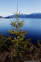 O lago Nahuel Huapi na área de Villa La Angostura, um lago belo e liso! Argentina, América do Sul.
