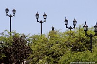 Lamps and a statue hidden behind trees at Sarmiento Park in Cordoba. Argentina, South America.
