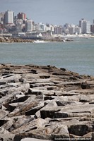 Enjoy the coastal walk between the city and the port in Mar del Plata. Argentina, South America.