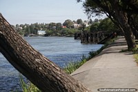 Argentina Photo - Beautiful waterfront area in Patagones beside the Negro River.