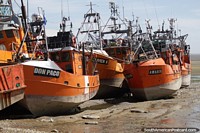Larger version of The port in San Antonio Oeste is dry until afternoon, big orange fishing boats.