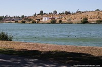 Chiquichano Lagoon in the central city in Trelew. Argentina, South America.