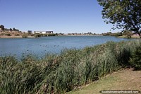 Grande lagoa com margens gramadas, Lagoa Chiquichano, um lugar tranquilo em Trelew.
