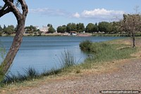 Argentina Photo - Natural reserve in Trelew - Chiquichano Lagoon, nice place.