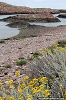 Larger version of Rocky terrain on the coastline in the bay of Puerto Deseado.