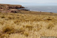 Argentina Photo - Beautiful wilderness of grasslands and rock on the coast in Puerto Deseado.