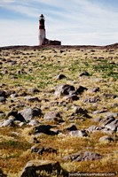 Rocks embedded in the grassy banks of Penguin Island leading up to the lighthouse, Puerto Deseado. Argentina, South America.