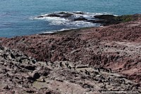 Seas hit black rocks, the rough rocky landscape of Penguin Island, Puerto Deseado. Argentina, South America.