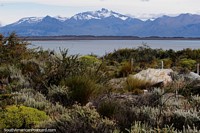 Snow-capped mountains across the lake, the Patagonia in El Calafate. Argentina, South America.