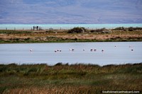 Argentina Photo - Nimez Lagoon with Lake Argentino in the distance in El Calafate.
