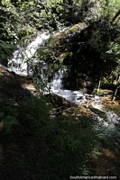 Small waterfall in the forest at Alerces National Park in Esquel.