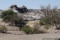Enjoy the sight of interesting moonscapes at Ischigualasto Triassic Park.