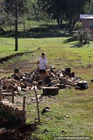Man chopping wood on the farm, Route 20, south of Pozo Azul, Misiones.