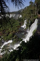 Powerful waterfalls flowing from the forests of the Iguazu River in Puerto Iguazu. Argentina, South America.