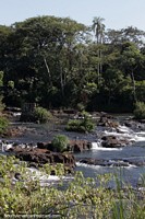 Versin ms grande de Hermoso da en Puerto Iguaz y mucho calor en el Parque Nacional.