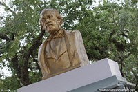 Busto em ouro do General Bartolome Mitre (1821-1906), soldado, escritor e ex-presidente, Formosa.