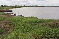 Grassy riverfront banks of the Paraguay River in Formosa.