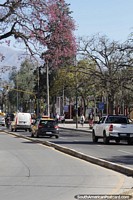 Rua da cidade com árvores coloridas em Jujuy. Argentina, América do Sul.
