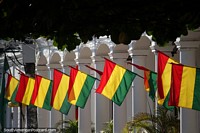Bandeiras bolivianas alinham-se  beira da estrada na cidade de Santa Cruz. Bolvia, Amrica do Sul.