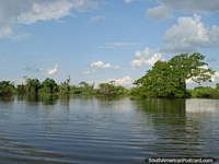 Larger version of Calm waters and greenness in Rurrenabaque.