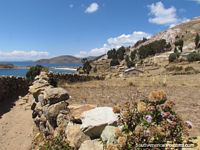Andando los caminos alrededor de Isla del Sol asombrosa en Lago Titicaca. Bolivia, Sudamerica.