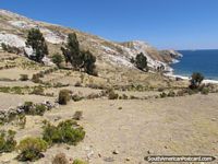 Los terrenos de la Isla del Sol en Lago Titicaca. Bolivia, Sudamerica.