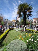 Larger version of Beautiful park, garden and flowers in La Paz main street.