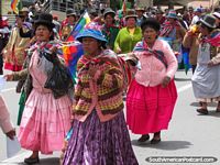 Verso maior do Um grupo de mulher boliviana marcha em La Paz.